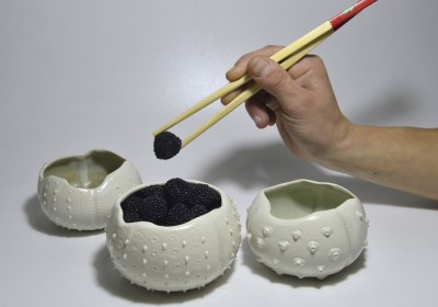 cerámica erizos cuencos